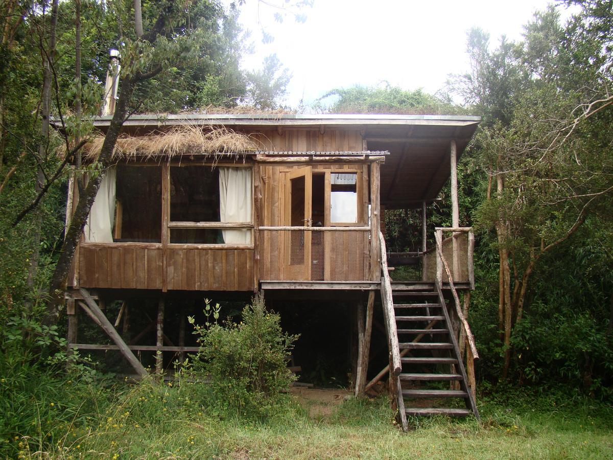 Puelo Siempreverde Villa Puelo River Exterior foto